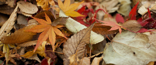 Autum Self-Care Tips With Hammam Thirty-Four