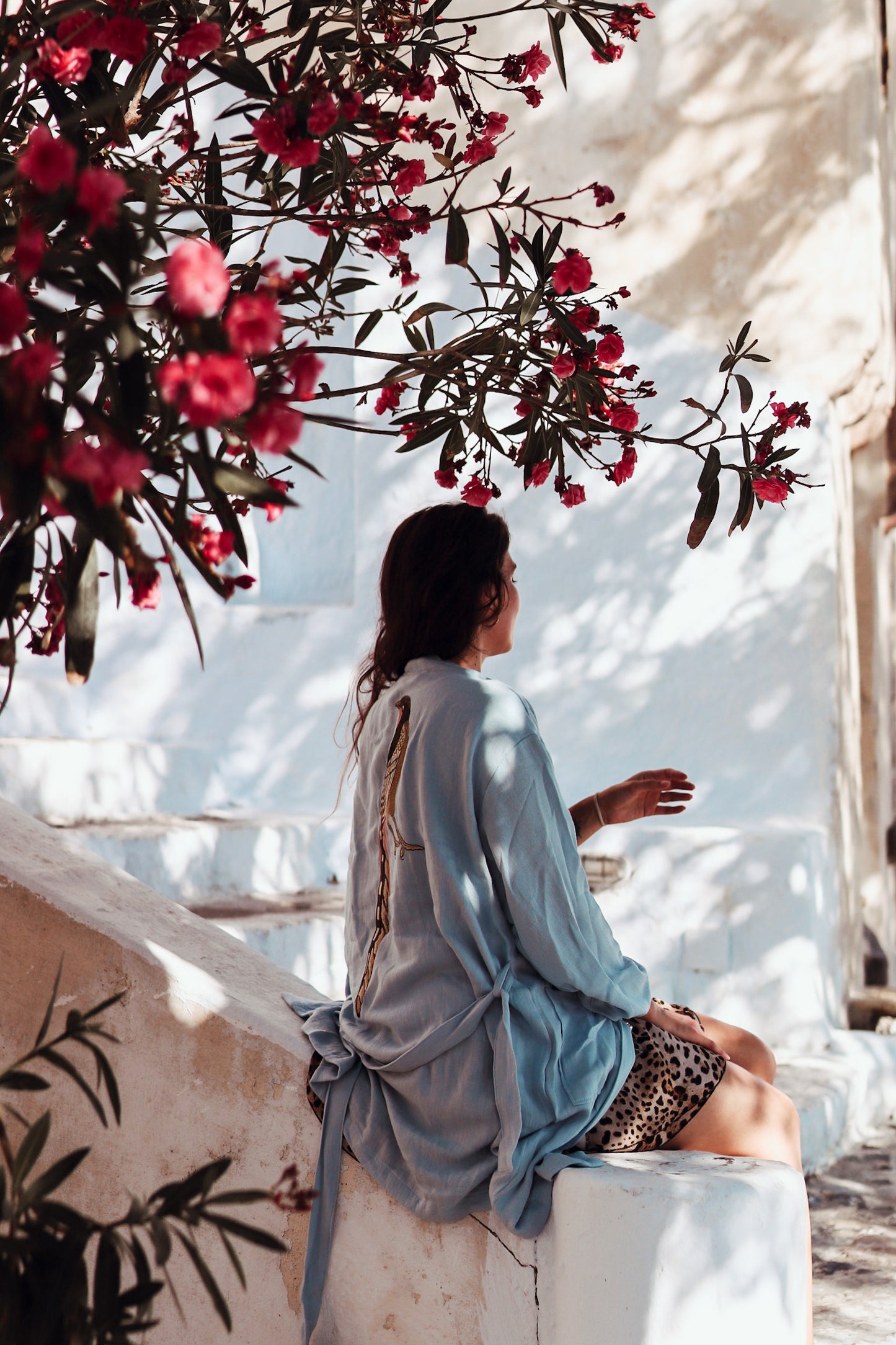 THE PHEASANT KIMONO IN CLOUD